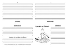 Storch-Faltbuch-vierseitig.pdf